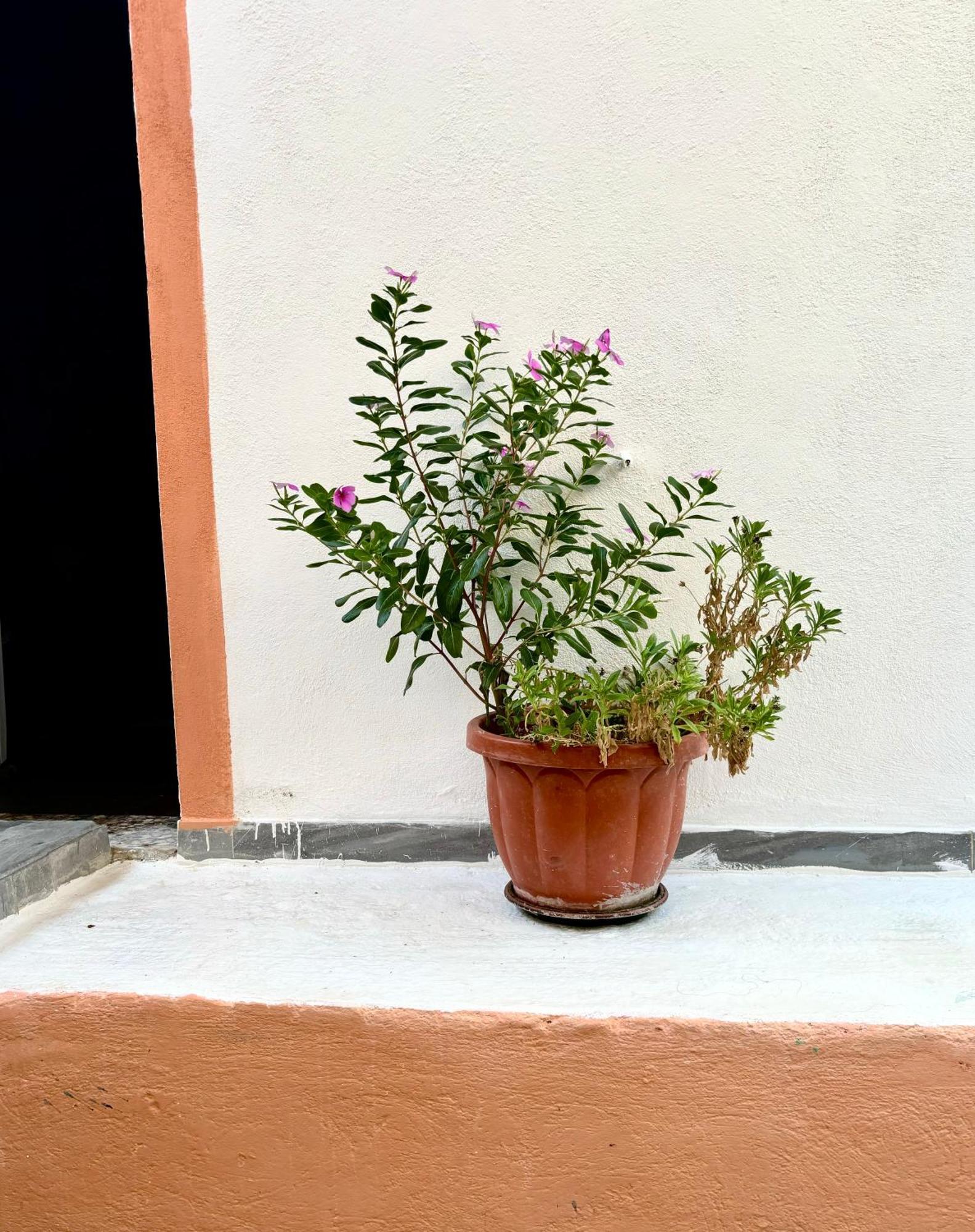 Traditional Corfiot House Perivólion Exterior foto